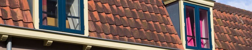 Dakrenovatie Hoogvliet